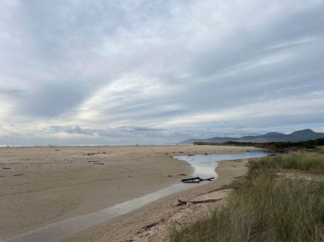 Scamander Bridge-Scamander必去景点