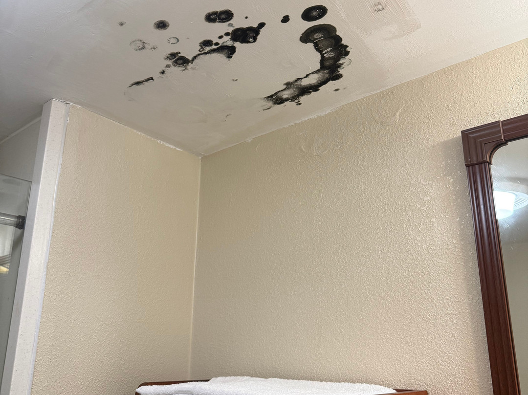 Comfort Inn Oxford主图