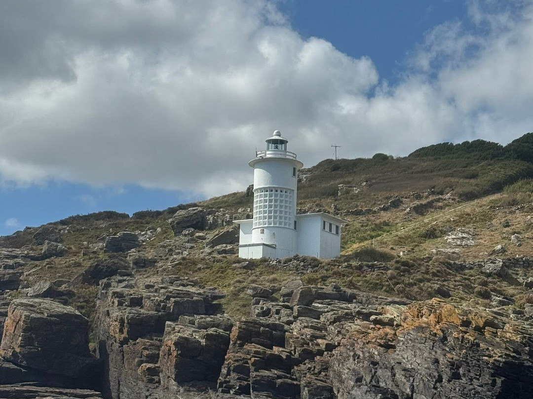 Cormorant Cruising-Mousehole必去景点
