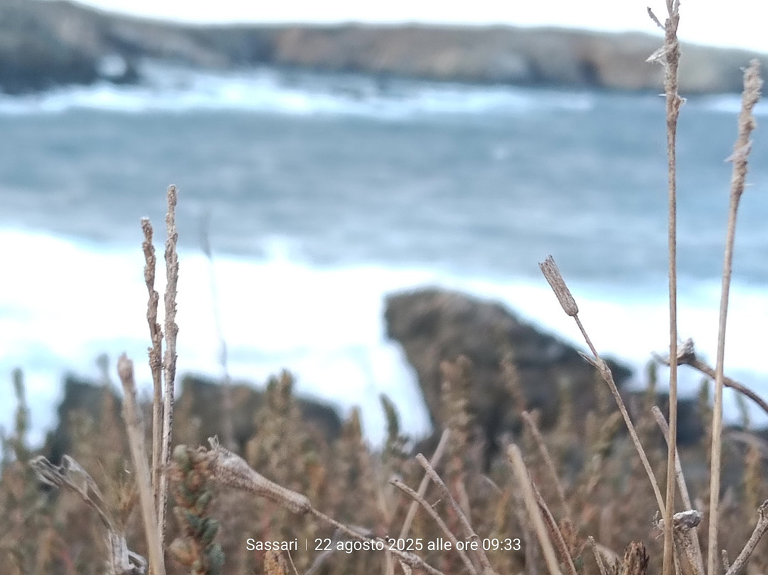 Cala Coscia di Donna-斯廷蒂诺必去景点