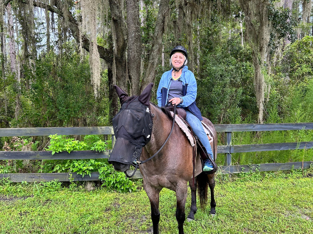 Black Prong Adventures Horseback Riding And Carriage Tours In The Goethe State Forest-Bronson必去景点