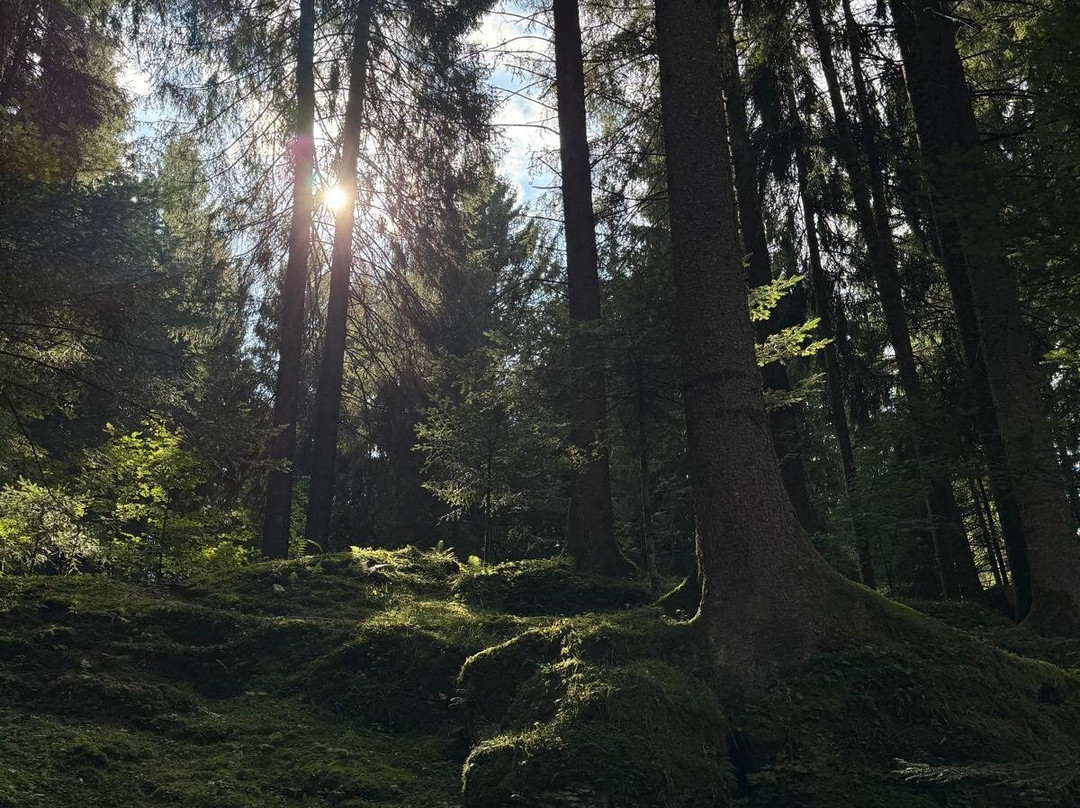 Hotel Da Barba B&B主图