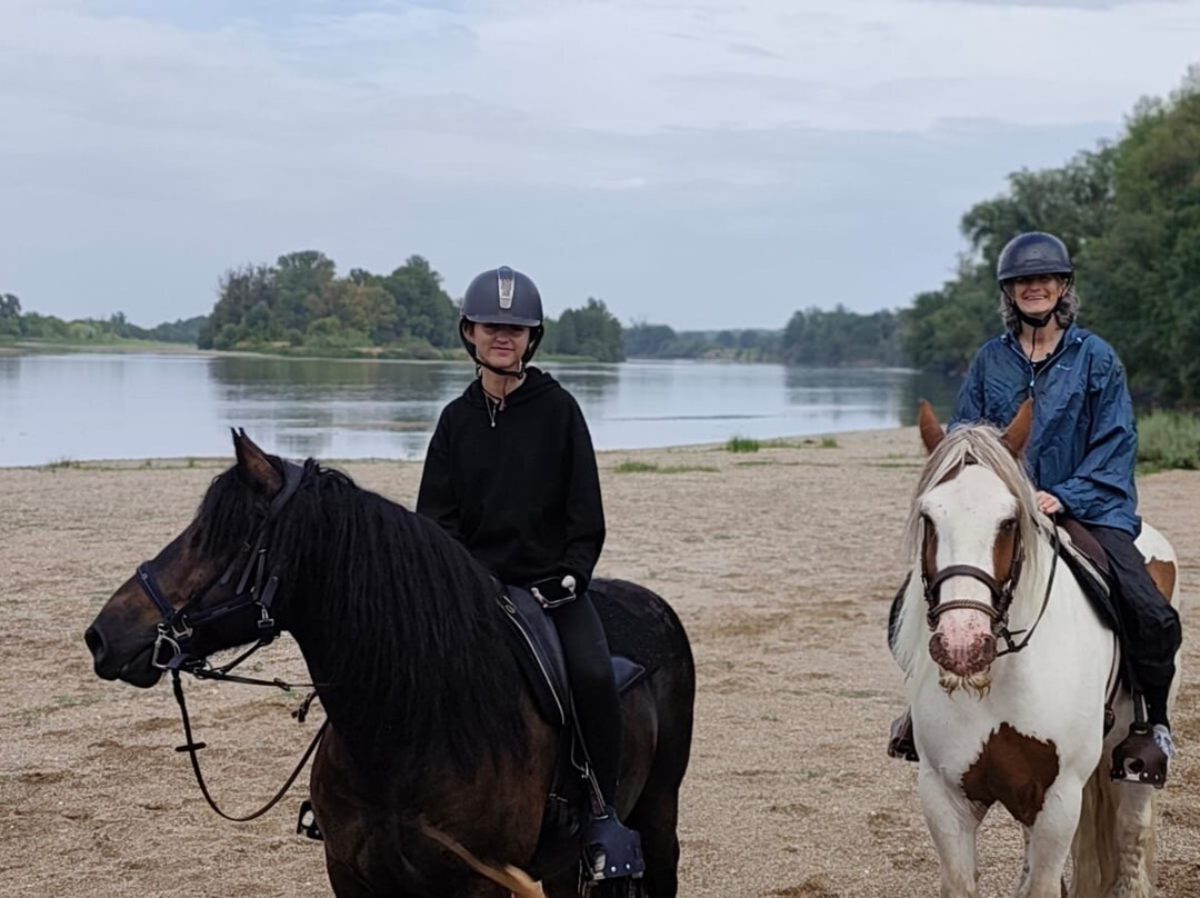 Horse Journey-Saint-Martin-le-Beau必去景点