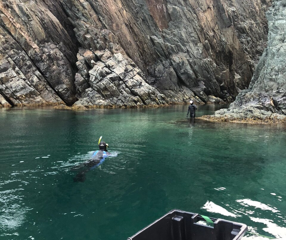 Old Salty Dog Excursions-Bay Roberts必去景点