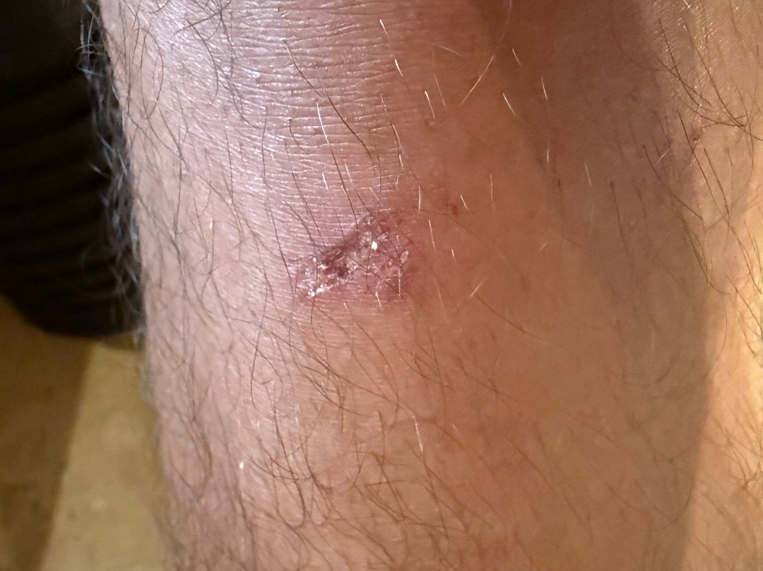 Hillary Nature Resort & Spa主图