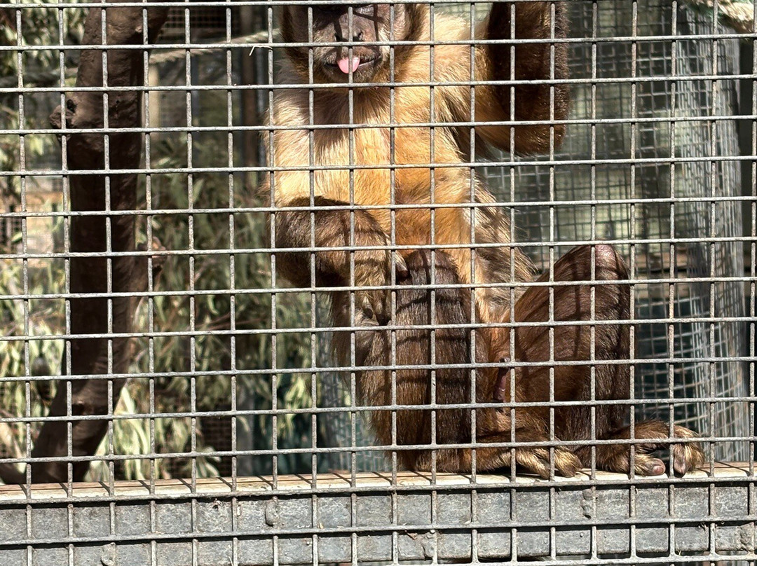 Altina Wildlife Park-Darlington Point必去景点