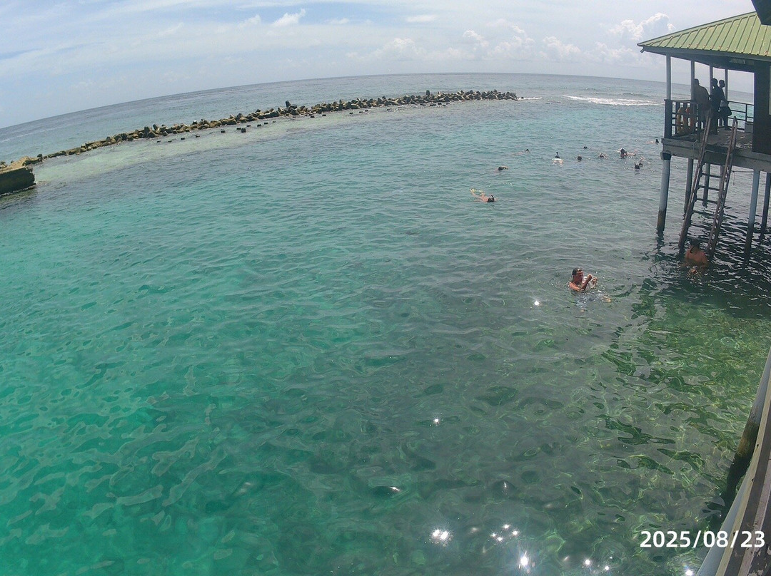 Meeru Island Resort & Spa - Day Tours-蜜月岛必去景点
