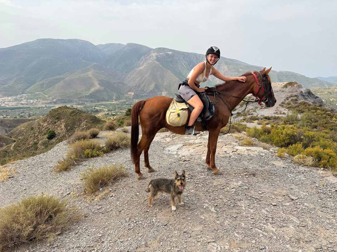 Pegasus Riding Centre-Orgiva必去景点