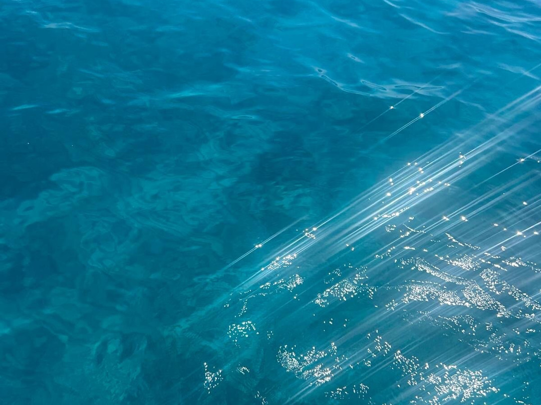 Tomorrowsea | Escursioni In Barca A Vela-Castiadas必去景点