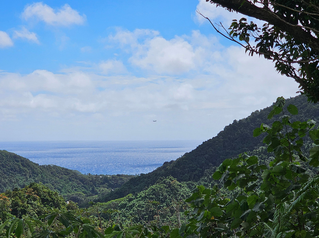 Raro Mountain Safari Tour-拉罗汤加必去景点
