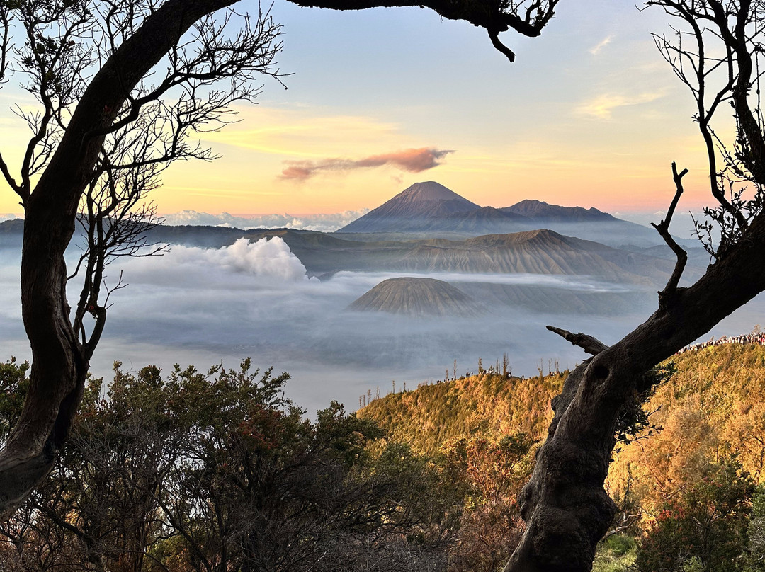 EastJavaDriver-玛琅必去景点