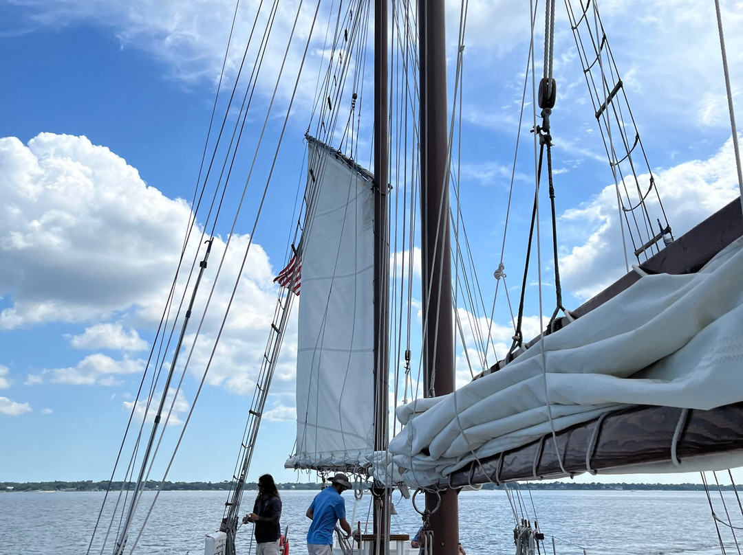 Charleston Harbor Tours-查尔斯顿必去景点