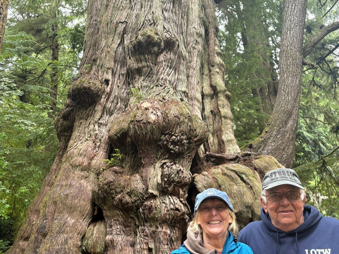 Cedar Wetlands Preserve-Rockaway Beach必去景点