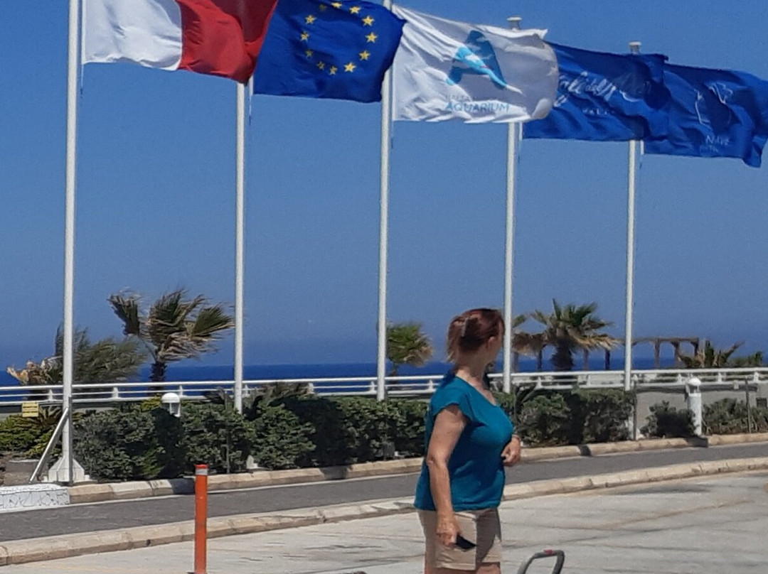 Malta National Aquarium-卡拉必去景点