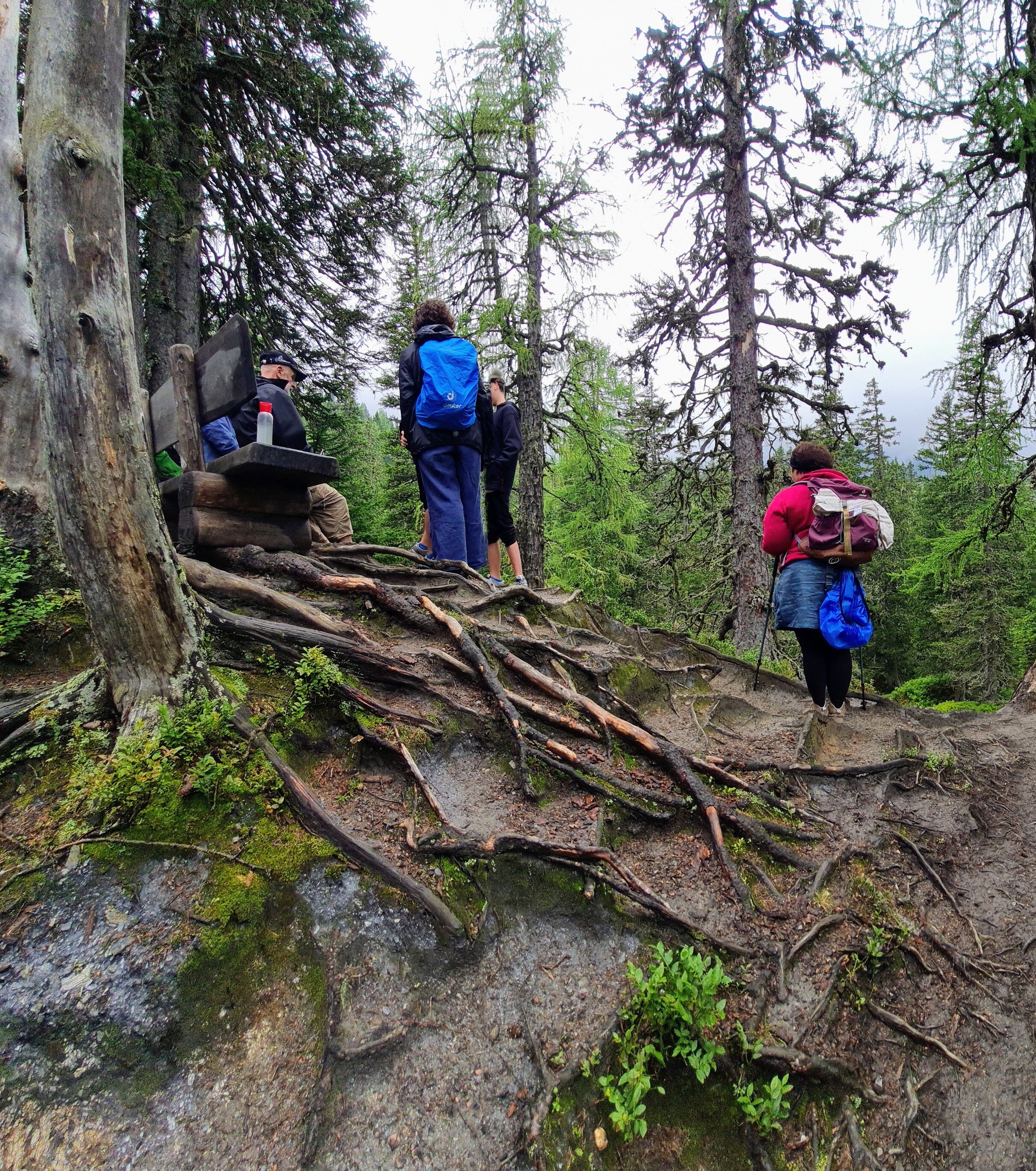 Wanderhotel Erika-官方