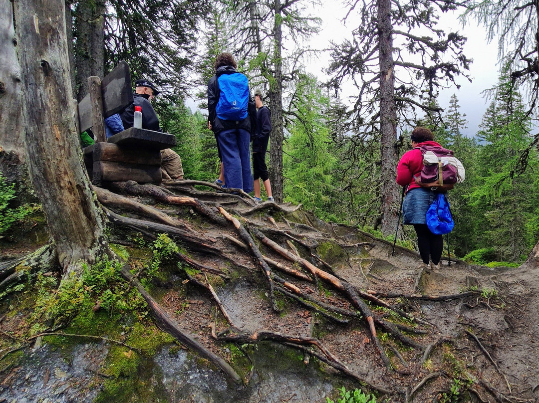 Wanderhotel Erika主图