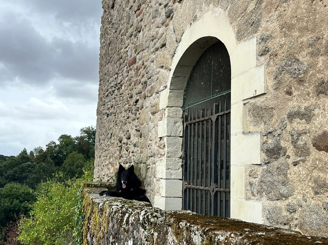 Chateau de Clisson-Clisson必去景点