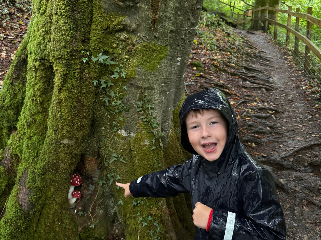 Carnglaze Caverns-利斯卡德必去景点