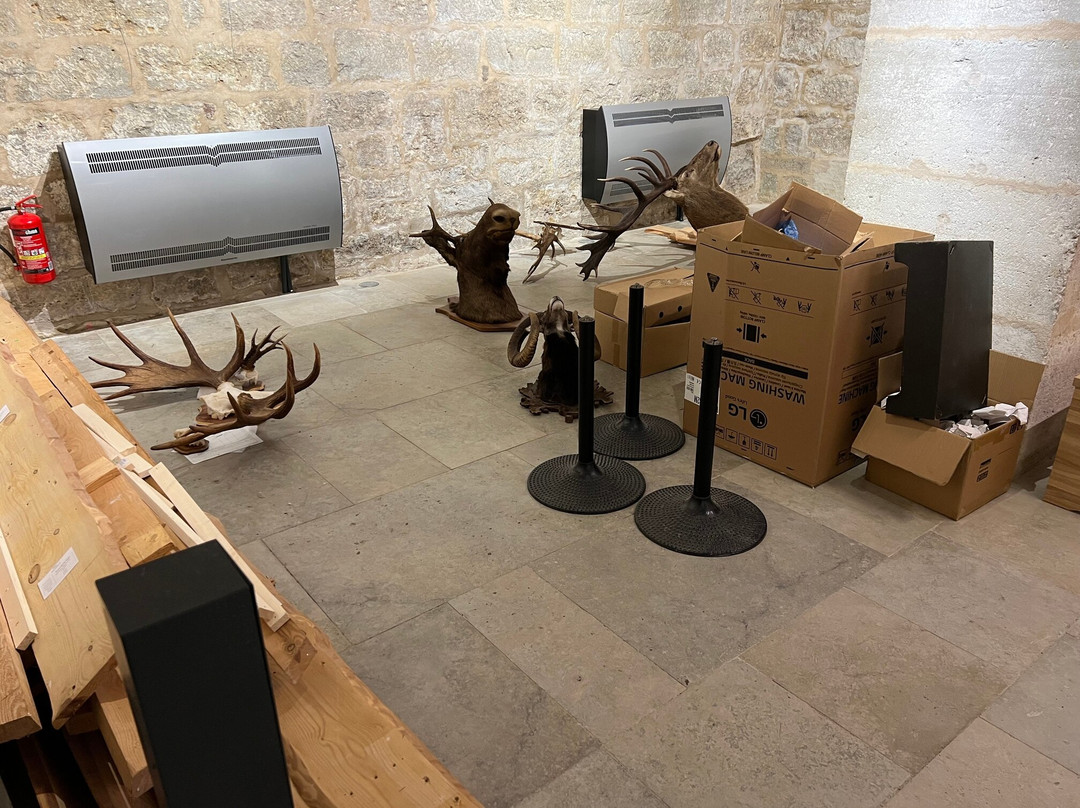 Saaremaa Museum-库雷萨雷必去景点