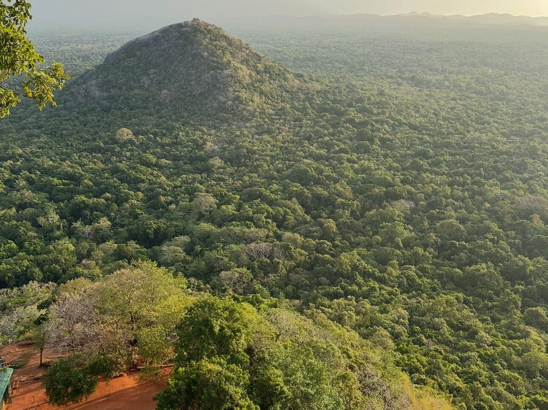 Michelle Tours-康提必去景点
