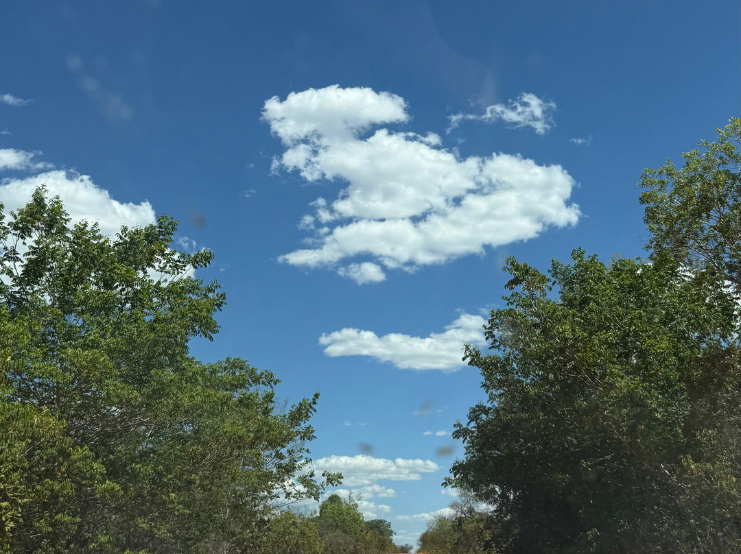 Calai Turismo-Palmas必去景点