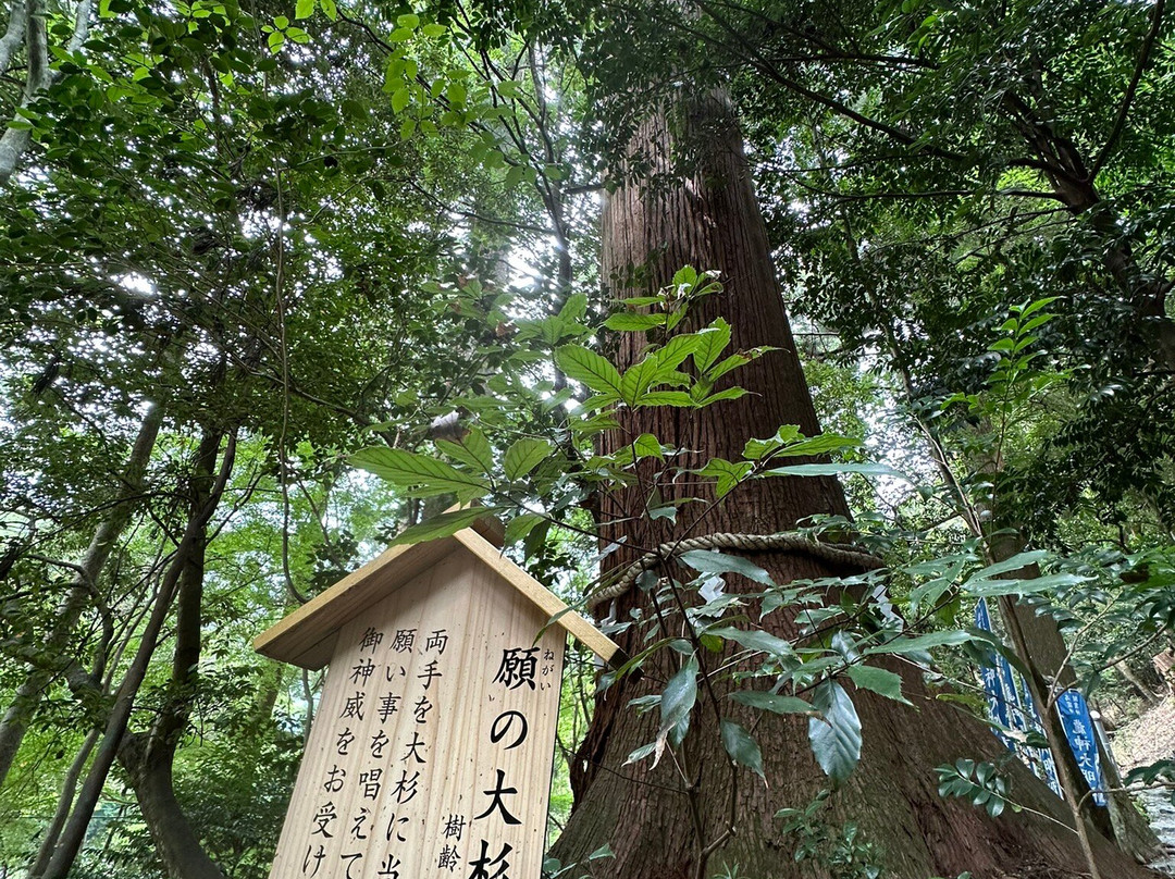 Niukawakami Shrine-东吉野村必去景点