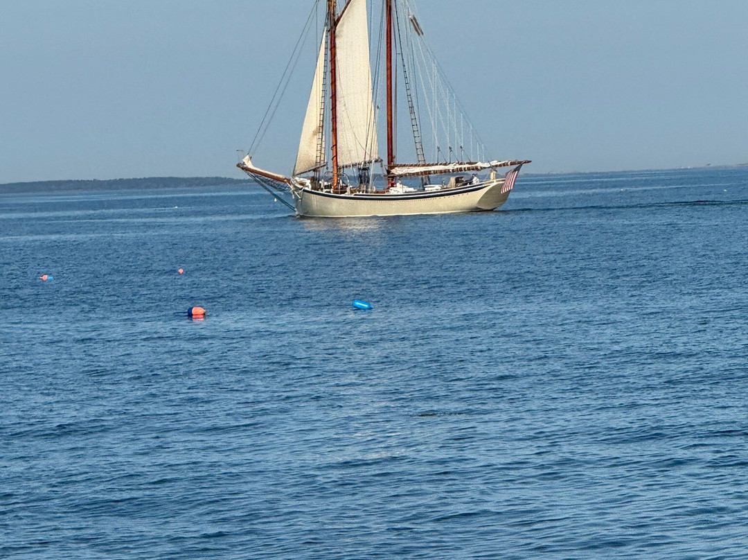 Monhegan Boat Line-Port Clyde必去景点