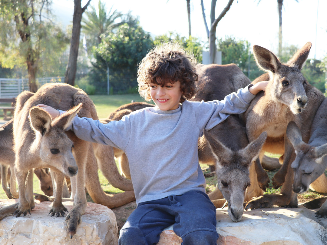 Gan Garoo Zoo-Nir David必去景点