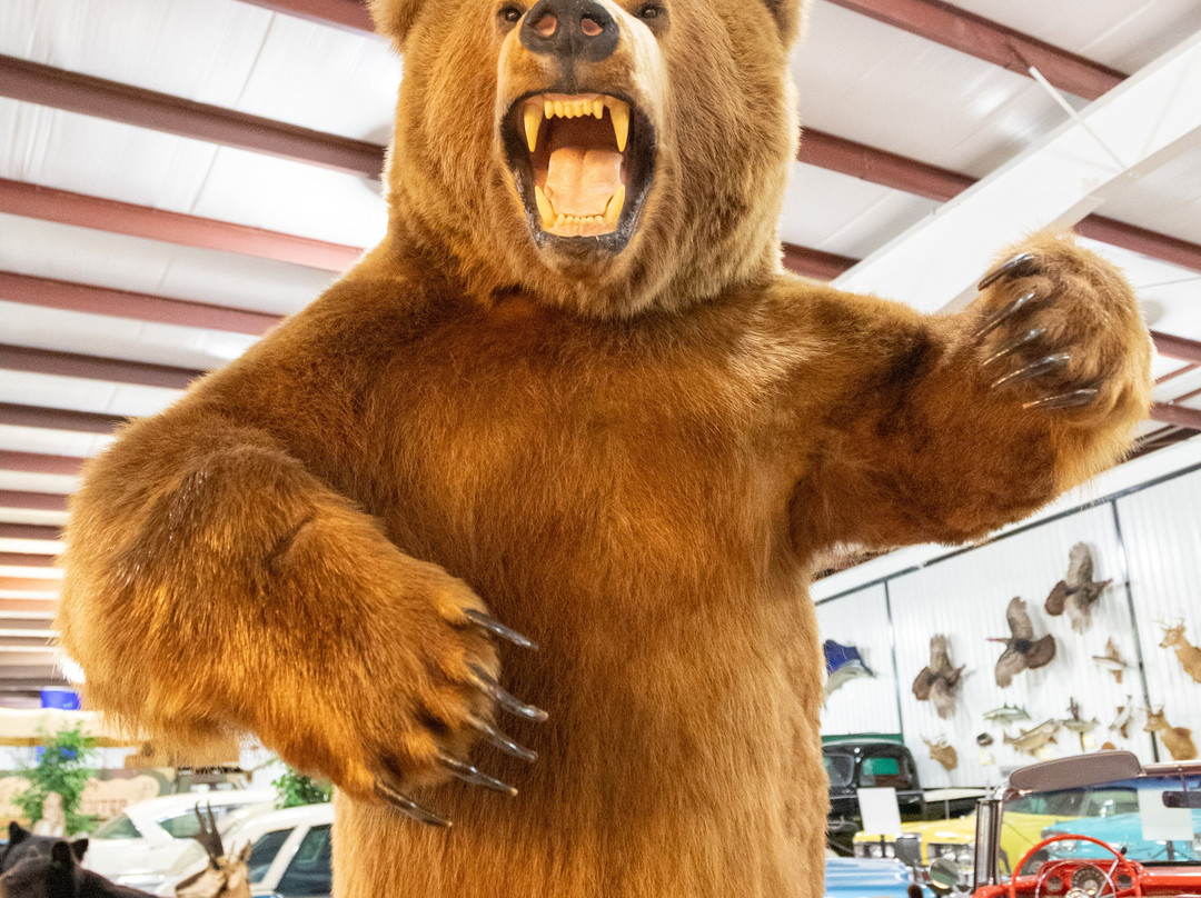 Grice Clearfield Community Museum-克利尔菲必去景点