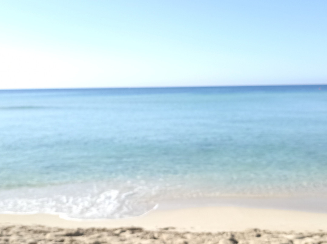 Spiaggia di Punta Prosciuto-Punta Prosciutto必去景点