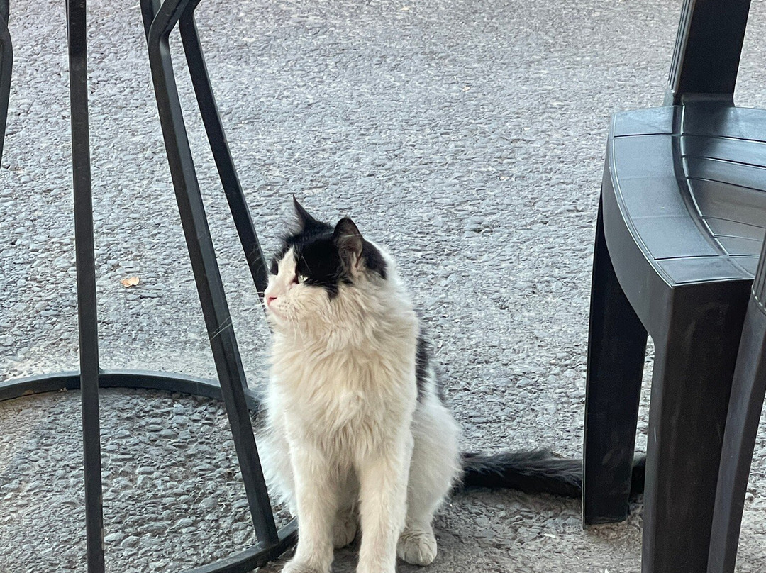 Göreme Kadın Kooperatifi Kafe