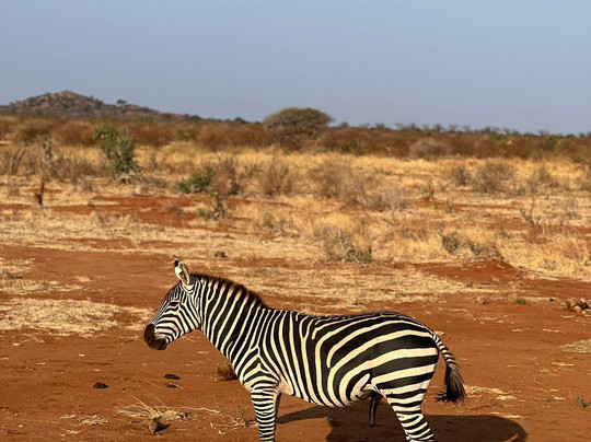 Ebano Safari Kenya-瓦塔木必去景点