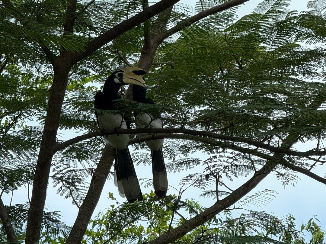 兰卡威热带度假村主图