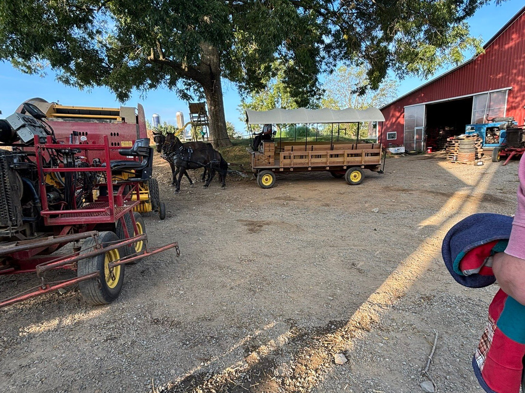 Amish Meals With The Blank Family-Narvon必去景点