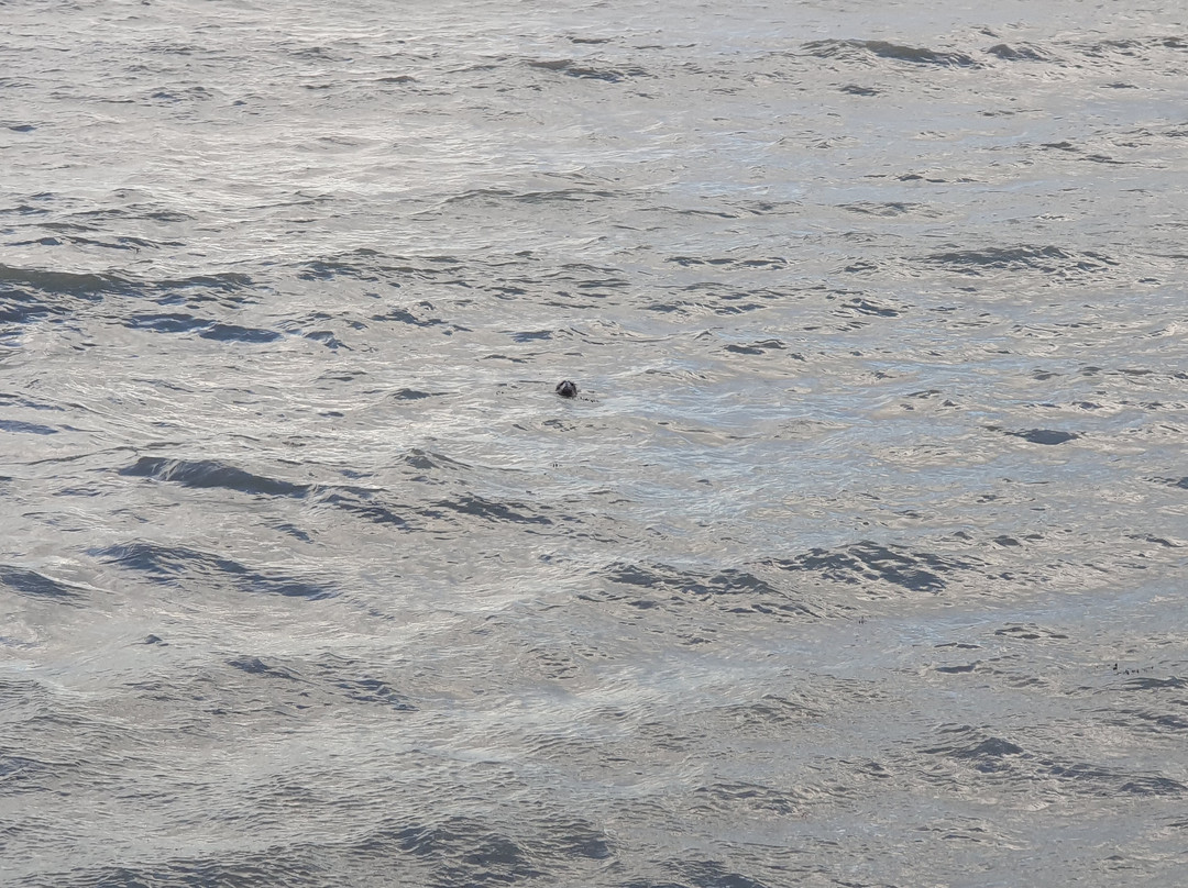 Dinas Head Walk-Dinas Cross必去景点