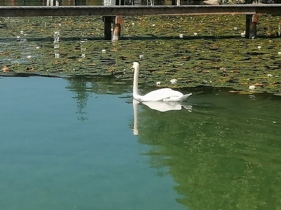 Strandhotel Orchidee主图