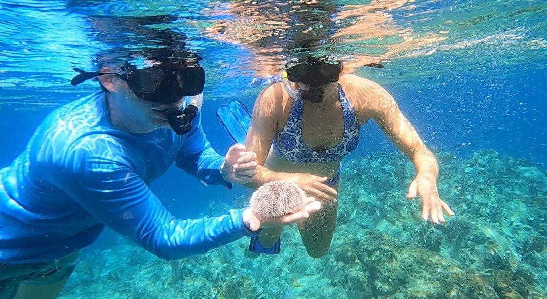 Day Trips BVI-托土拉必去景点