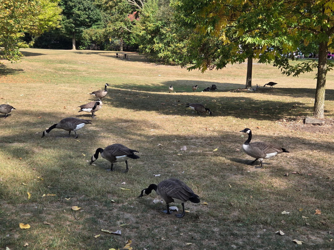 Gibbons Park-伦敦必去景点