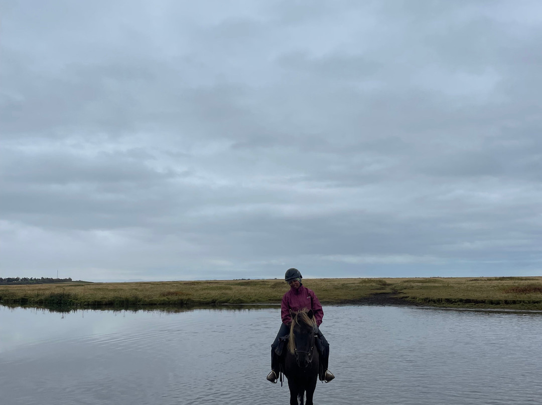 Eldhestar Volcano Horses-Olfus必去景点