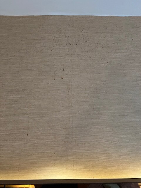 Noah's Ark Deluxe Hotel & Spa-客卧