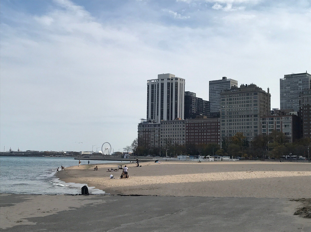 橡树街海滩-芝加哥必去景点