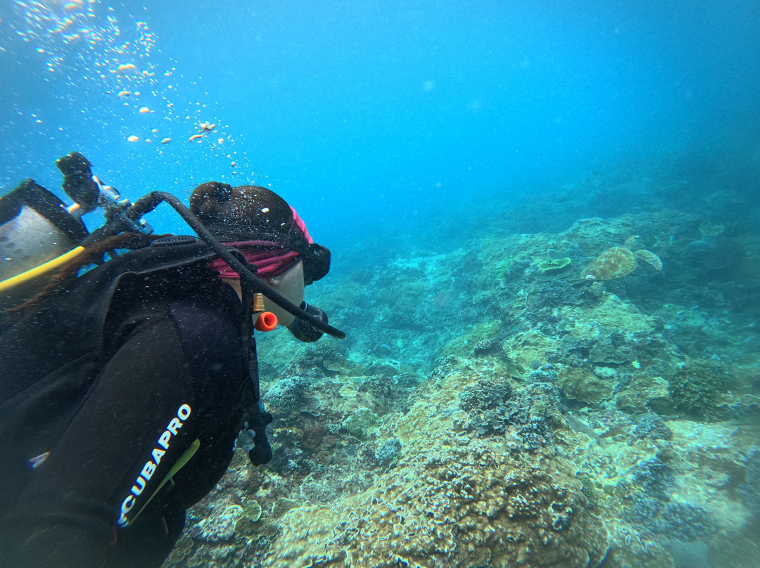Bali Hai Diving Adventures-蓝梦岛必去景点