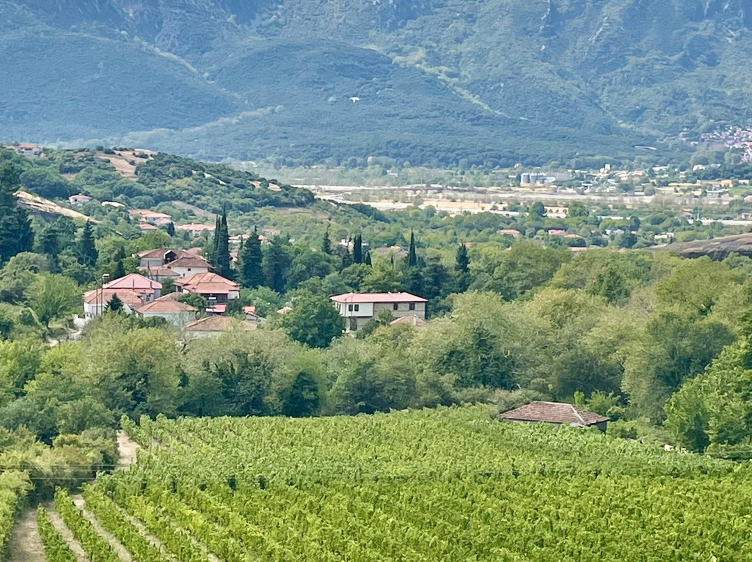 Meteora Thrones - Travel & Tourism Center-卡兰巴卡必去景点