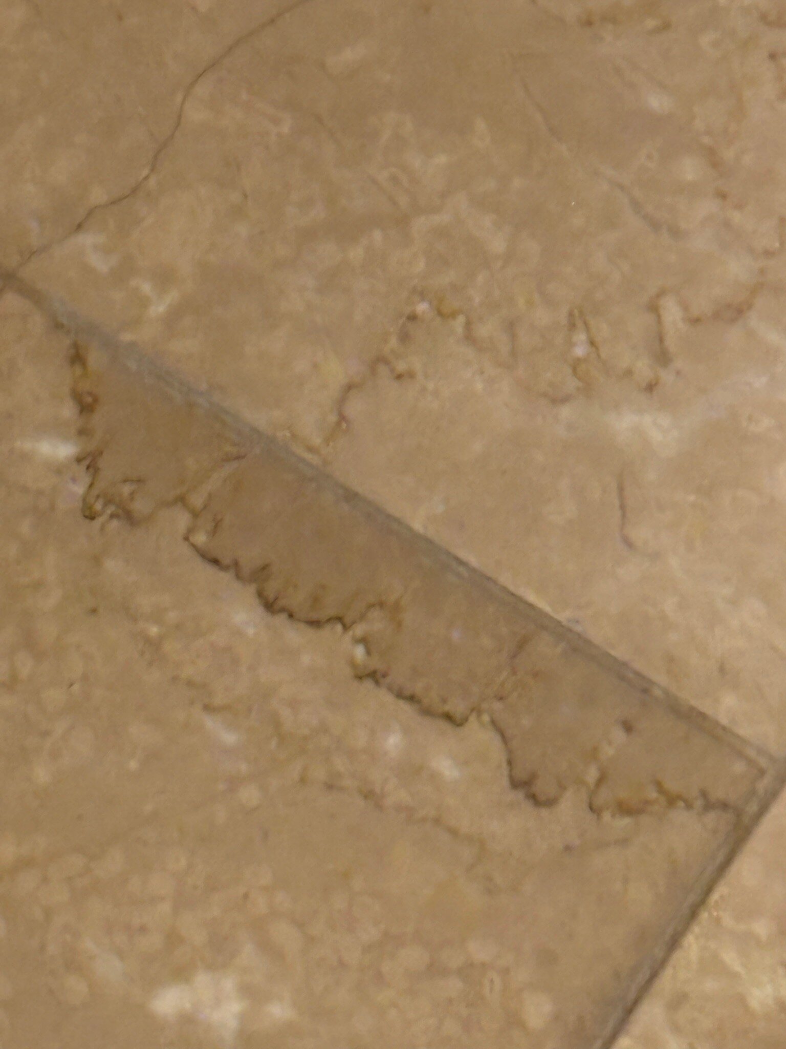 Grand Pequot Tower At Foxwoods-官方