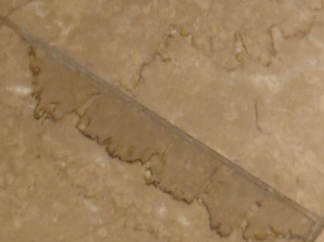 Grand Pequot Tower At Foxwoods主图