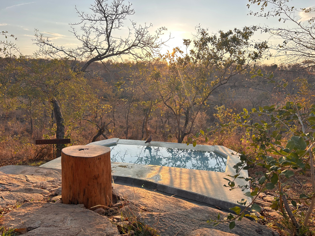 Tarangire Classic View Camp