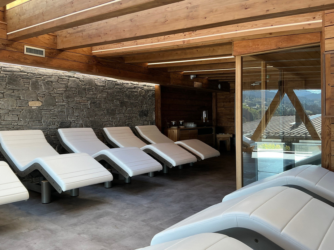 Chalet-Hotel Alpina主图