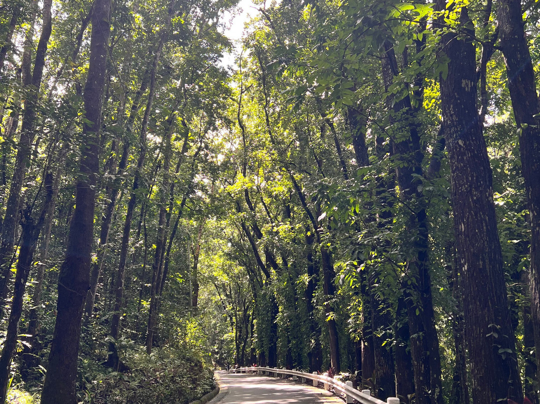 Lower Magat Eco Tourism Park-Diadi必去景点