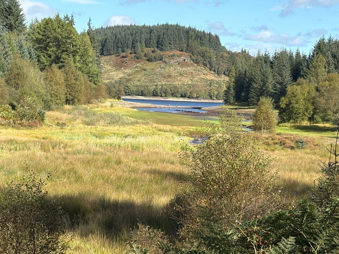 Three Lochs Forest Drive-Aberfoyle必去景点