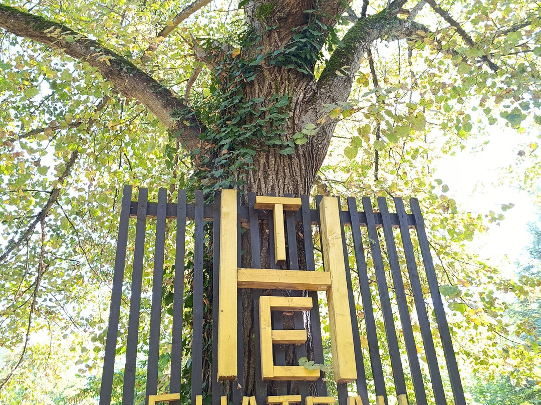 Wat Thammapathip-Moissy-Cramayel必去景点